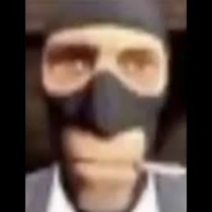 spy bird