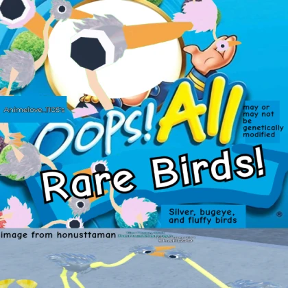 Oops, all rare birds!