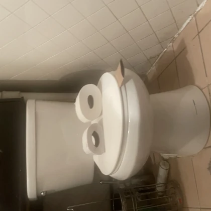 Big skibidi toilet