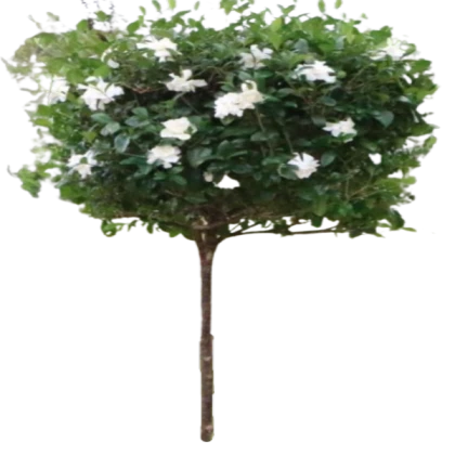 Bird White Flower Bush Mod