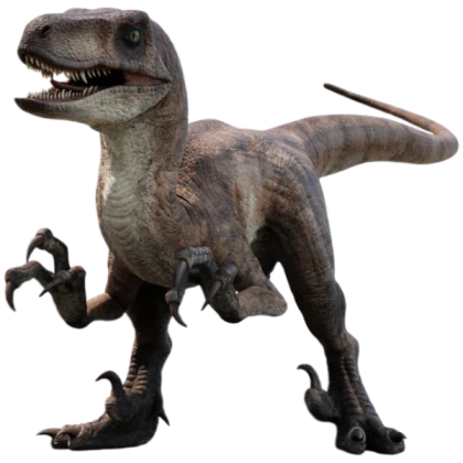 parade total dramarama raptor morph