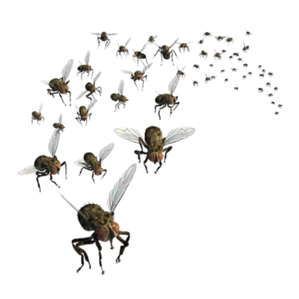 working fly insect buzz drone swarm bug