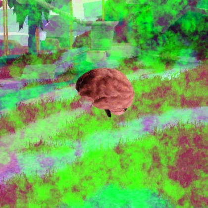 Brain