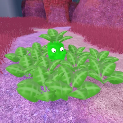 plant scoobis