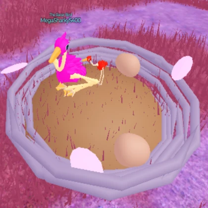 Bird Hatchling