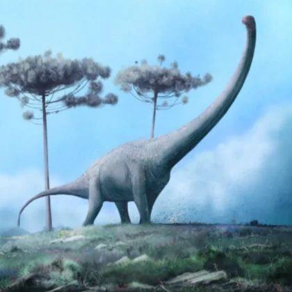 Dinosaur Models!