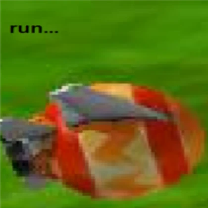 run very speedy