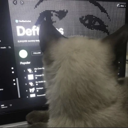 furby with ad screen