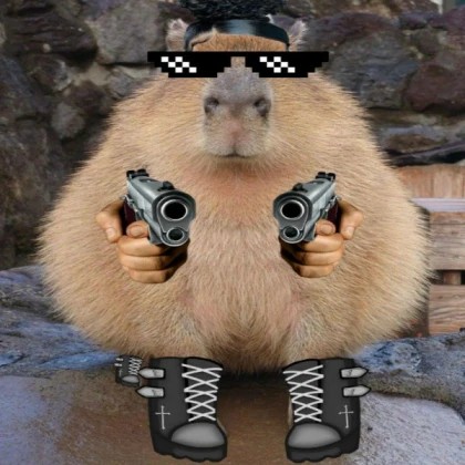 Hamster from Chicken gun