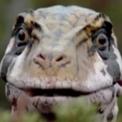 utahraptor
