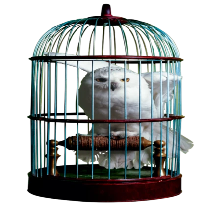 Bird Jail