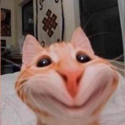 Cat npc