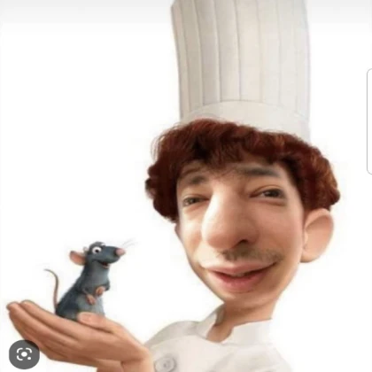 harold ratatouile
