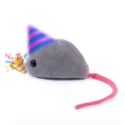 bird cat toys