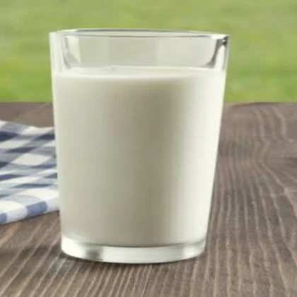Bird Ragdoll (Butter Milk)
