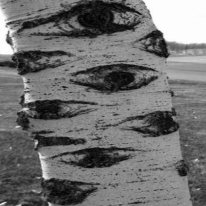 Lumber Tycoon Trees!