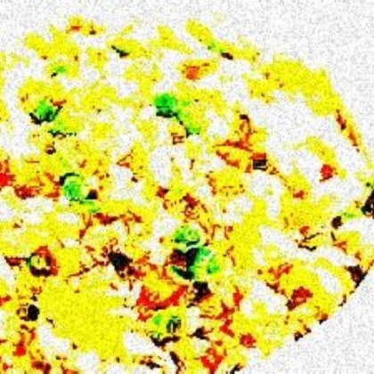 Audio Deep Fryer