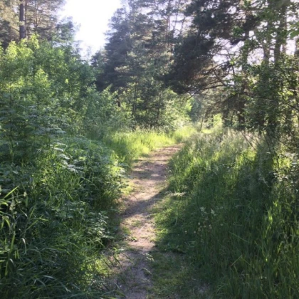 Thick Long Path