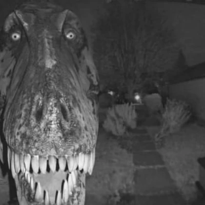 Dinosaur Main outside Fence