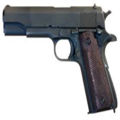 Pistol