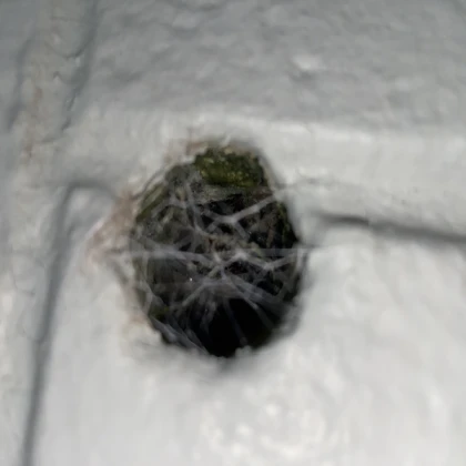 Upgraded Nest ( V3 )