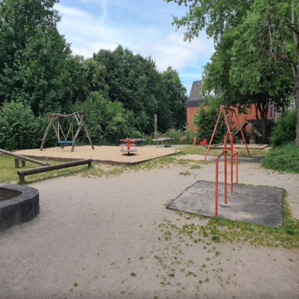 Big playground with birds!