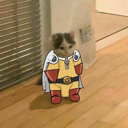 Cat Npc
