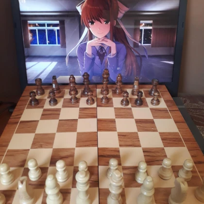 Chess (BIG AND SMALL)