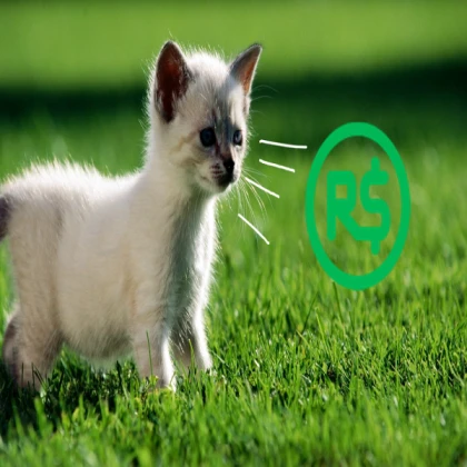 Bird ragdoll (Grass)