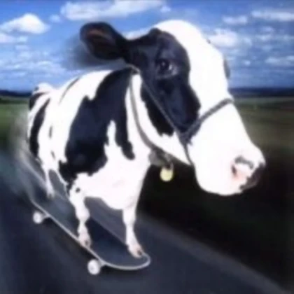 cow