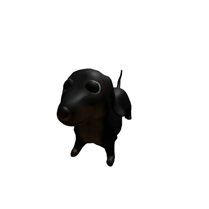 SUPER TINY dachshund Dog 