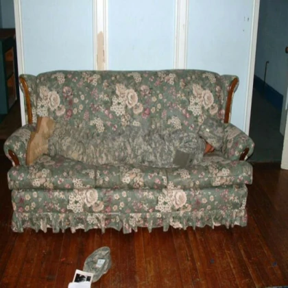 Biggest Couch