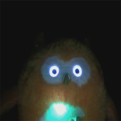 owl toy