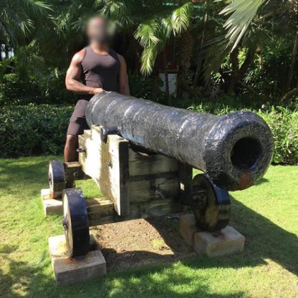 Cob Cannon [Destroys almost everything]