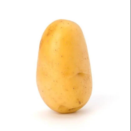 SCARY POTATO