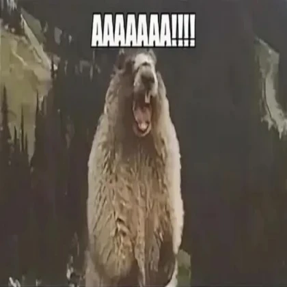 Screaming birb