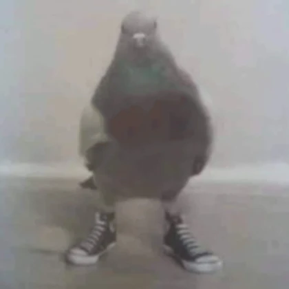 backflipping pigeon