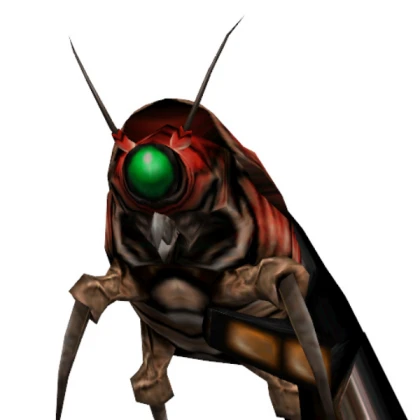 Tung Killer