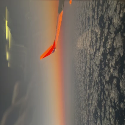 BIRD Aeroplane