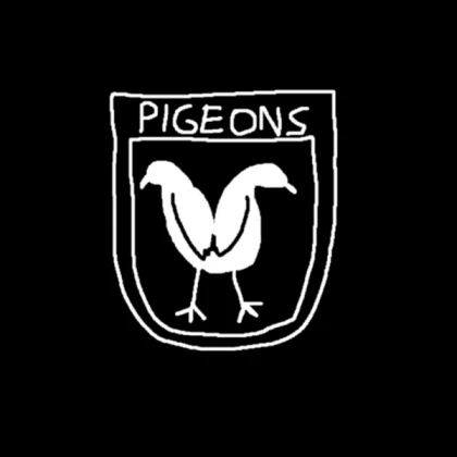pigeon