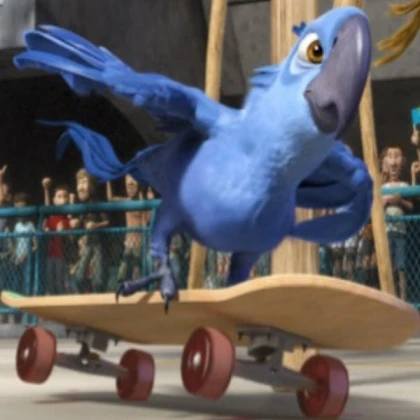 rio blu