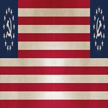 The Flag of America