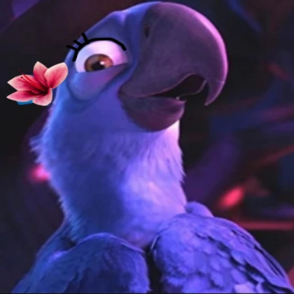 rio blu updated