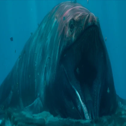 Hiper Colosal Whale