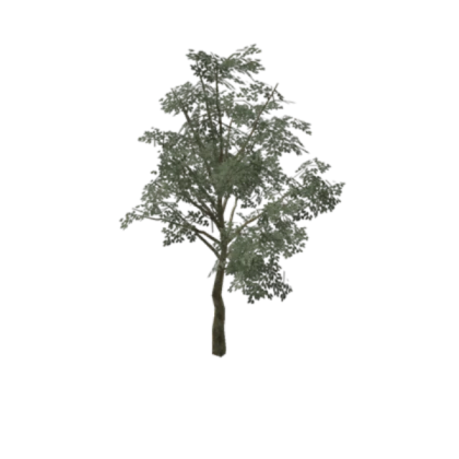 Realistic Tree!