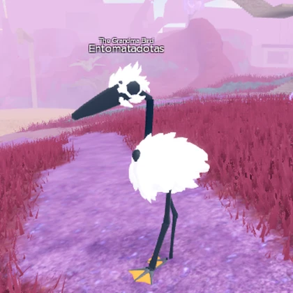 Bird Customizer