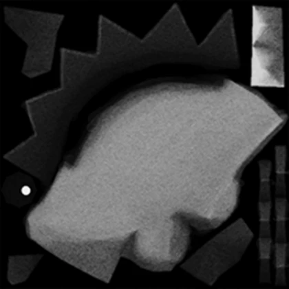 Profile cutting in square shape w lion

