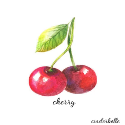 Bird Ragdoll (Cherry)