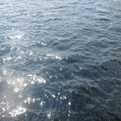 Turn paxtyne into an ocean