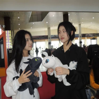 light fury toy and courtney plush v 1.5